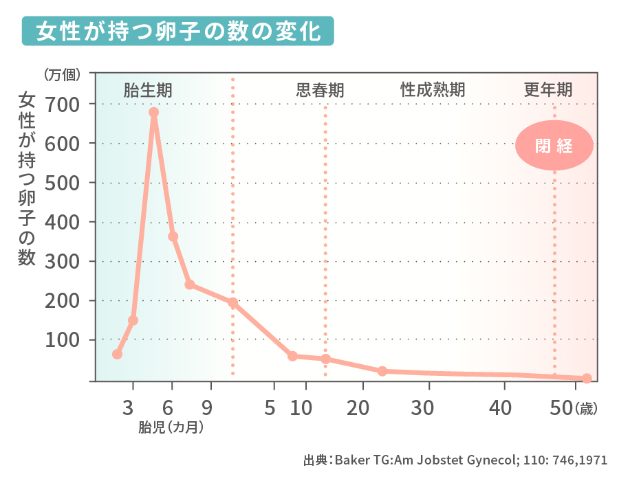 年齢による卵子の数の推移　グラフ