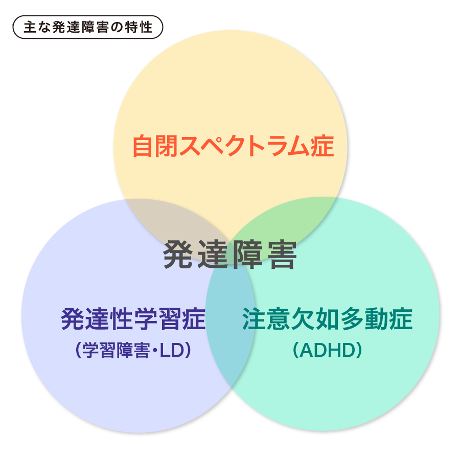 主な発達障害の特性